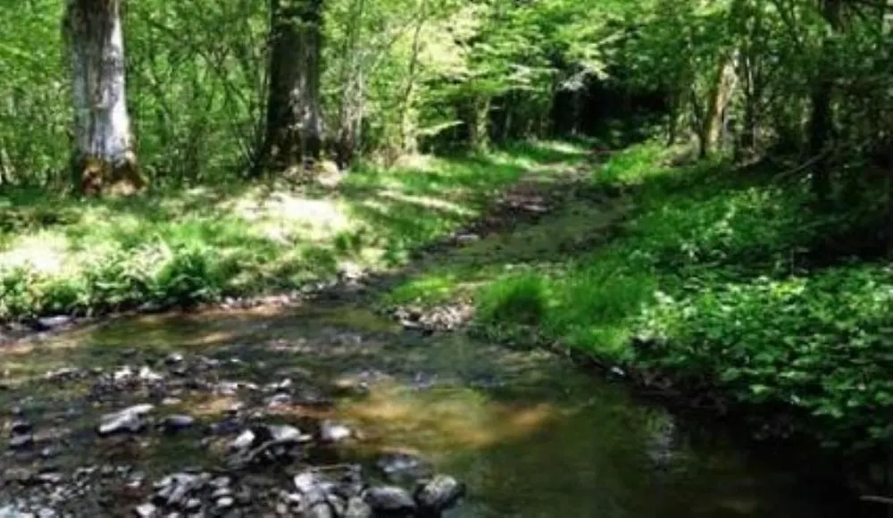 Bed & Breakfast La Cour D'Enchere Saint-Palais