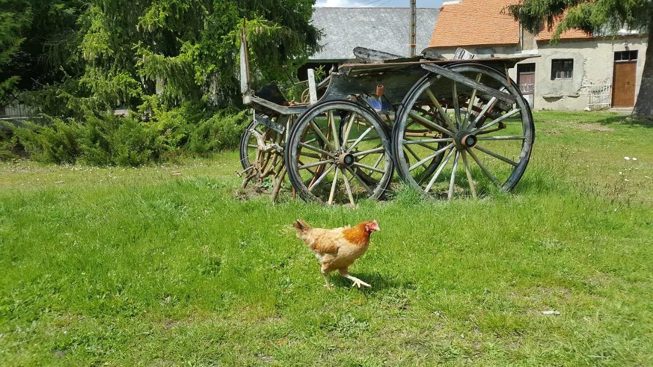 Bed & Breakfast La Cour D'Enchere Saint-Palais  France